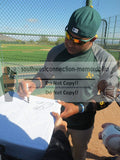 Oakland Athletics Yoenis Cespedes Autographed Hand Signed Oakland A”s Elephant Baseball