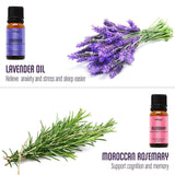 Natrogix Bliss Essential Oils - Top 9 Therapeutic Grade 100% Pure Essential Oil Set 9/10ml (Tea Tree, Rosemary, Orange, Peppermint) w/Free E-Book