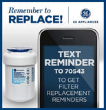 General Electric MWF Refrigerator Water Filter