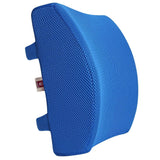 LoveHome Memory Foam Lumbar Support Back Cushion with 3D Mesh Cover Balanced Firmness Designed for Lower Back Pain Relief- Ideal Back Pillow (Azure)