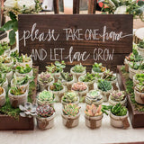 The Next Gardener Succulent Plants, 5 Pack of Assorted Rosettes, Fully Rooted in 2" Planter Pots with Soil