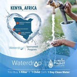 Waterdrop Refrigerator Water Filter, for EWF01, FC-300, FC300, EFF-6018A, 241988703, Pack of 2