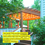 Waterproof LED Outdoor String Lights - Hanging, Dimmable 2W Vintage Edison Bulbs