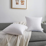 MoMA 16 x 16 Pillow Inserts (Set of 2) - Throw Pillow Inserts - White Couch Pillow