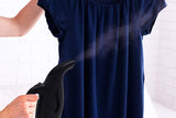 Lemontec Portable Travel Garment Steamer 180ml