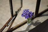 Sony - FE 50mm F1.8 Standard Lens (SEL50F18F)