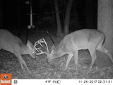 Bushnell 16MP Trophy Cam HD Essential E3 Trail Camera, Brown