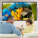 Mdbebbr 120 inch Projection Screen 16:9 HD Foldable Anti-crease Portable Projector Movies Screen