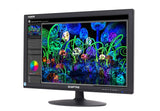 Sceptre E205W-1600 20" 75Hz Ultra Thin LED Monitor HDMI VGA Build-in Speakers, Metallic Black (2018 version)