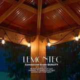 Commercial Grade Outdoor String Lights with 15 Hanging Sockets - 48 Ft Black
