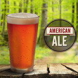 Mr. Beer American Ale 2 Gallon Homebrewing Refill, Red/Black