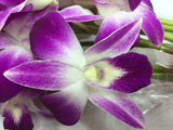 Fresh Cut Flowers -Dendrobium Purple Orchids with Vase