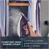 Rowenta DG8520 Perfect Steam 1800-Watt Eco Energy Steam Iron
