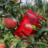 Crispy Green Freeze-Dried Fruit, Single-Serve, Variety Pack, 0.35 Ounce