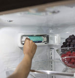 GE RPWFE Refrigerator Water Filter