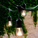 Commercial Grade Outdoor String Lights with 15 Hanging Sockets - 48 Ft Black