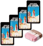 Freeze Dried Ice Cream Neapolitan (Chocolate-Vanilla-Strawberry) Astronaut Food